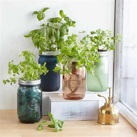 Mason Jar Indoor Herb Garden Best Diy Craft Kits From Uncommon Goods