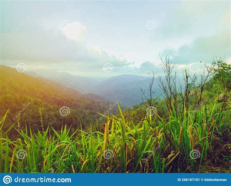 Beautiful Mountains Layer With Swinging In The Morning Mist Enjoy The