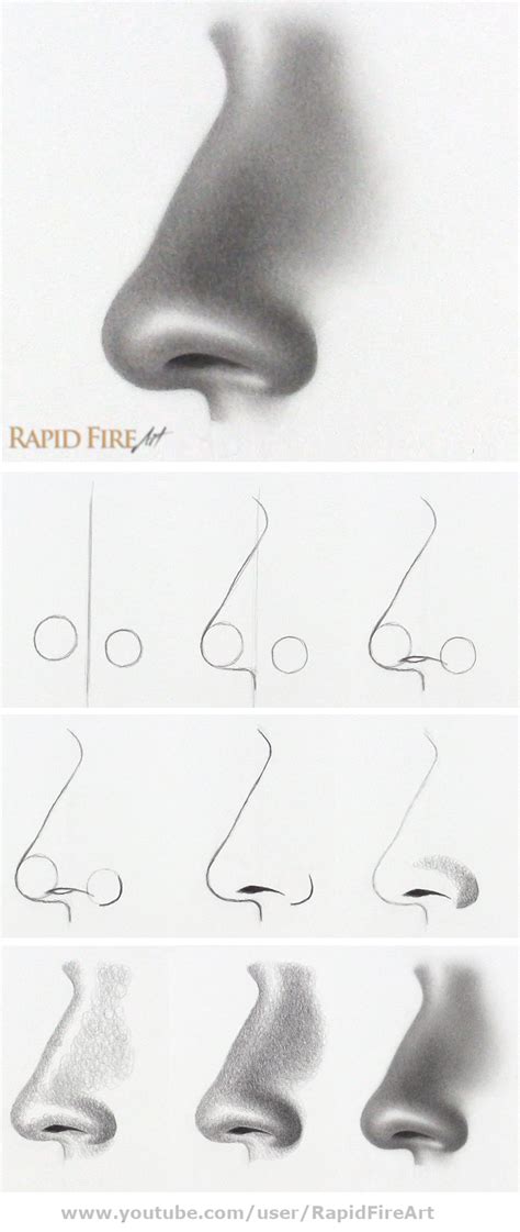 How To Draw A Nose Side View Step By Step Realistic Drawings