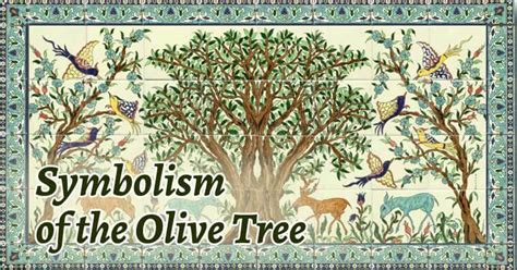 Olive Tree Symbolism