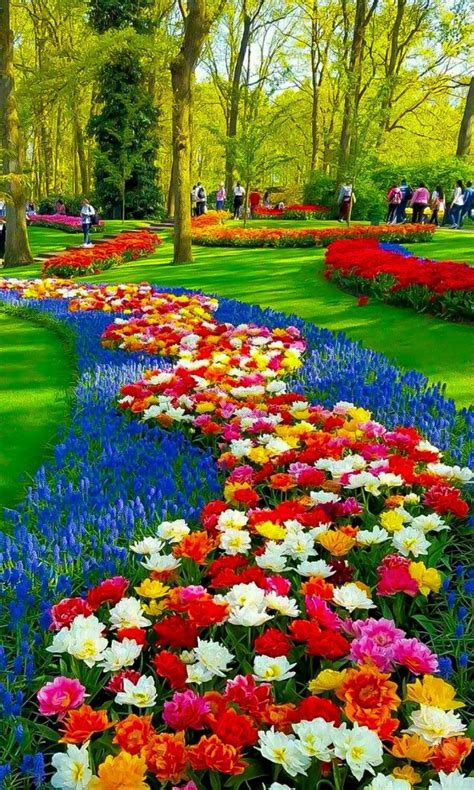 Beautiful Photos Of Flower Gardens Image To U