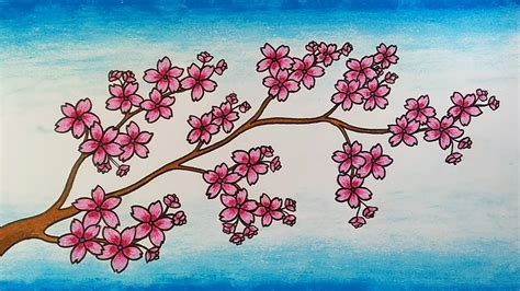 Menggambar Bunga Sakura Cara Menggambar Dan Mewarnai Bunga Youtube