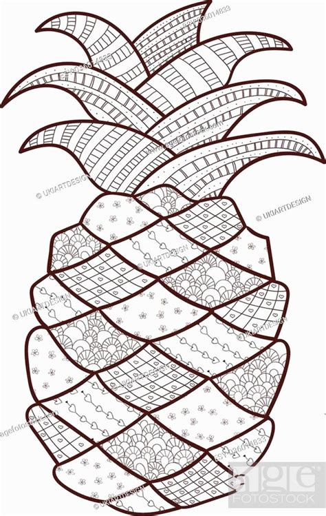 Pineapple Adult Coloring Page Zentangle Inspired Whimsical Line Art