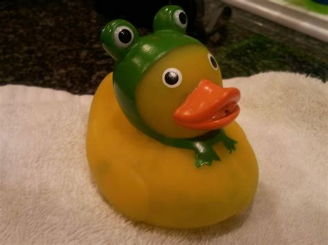 Duck In A Frog Hat Rubber Duck Rubber Ducky Weird Toys