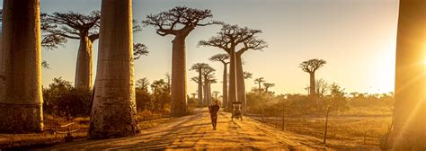 West Madagascar Madagaskar Travel