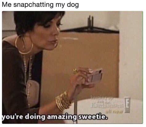 Me Snapchatting My Dog Youre Doing Amazing Sweetie Know Your Meme