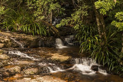 Twin Falls Waterfall Located In Springbrook National Park Stock Image