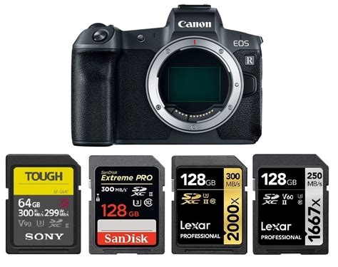 Best Memory Cards For Canon Eos R Camera Ears