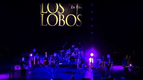 Los Lobos Acl Live 2013 Kiko And The Lavender Moon Youtube