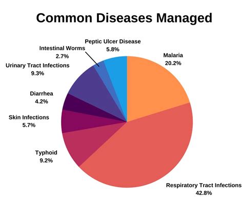 Common Diseases Managed1 Pilgrim Africa