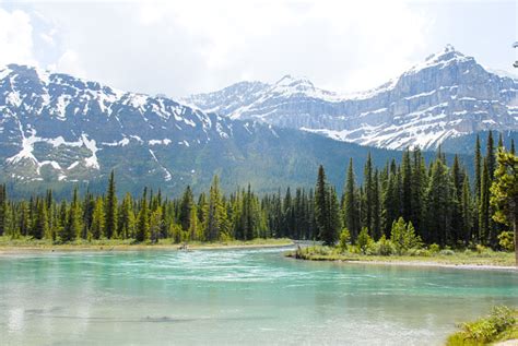 Mistaya River And Mt Chephren In The Spring Banff National Park