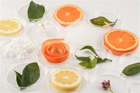 Orange Fiber • Sustainable Fabrics From Citrus Juice By Products