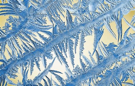 Wallpaper Winter Frost Glass Pattern Frost Images For Desktop