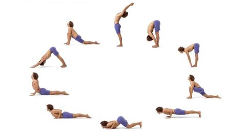 Our yoga asana blog has everything you need to know about yoga asanas (poses). Introduction to Surya Namaskar - The Indian Med