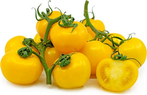 On The Vine Yellow Tomatoes Information And Facts