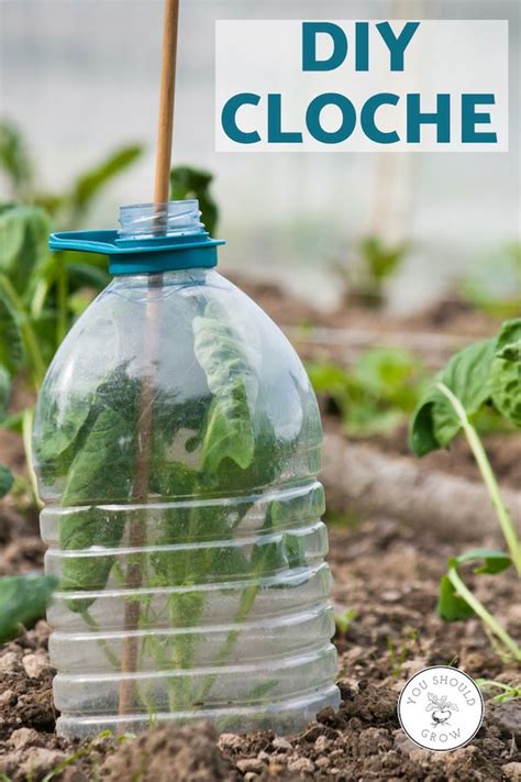 We broke a 100 year old record last night and fell below 32 degrees for a prolonged period. How To Protect Plants From Frost | Frost protection for ...