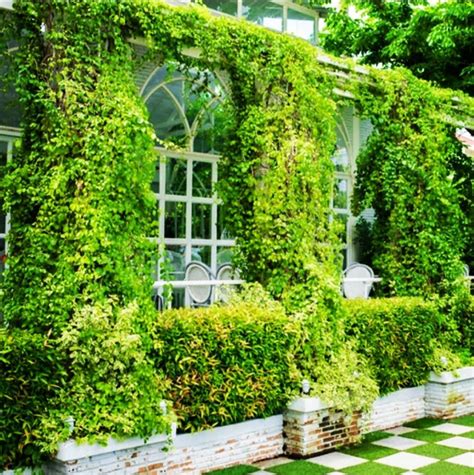 Green Facades Or Pre Grown Creeper Walls Are Created By Creepers And