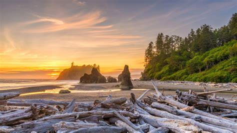 Best Time To Visit Olympic National Park In 2022 The Geeky Camper