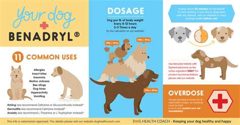 Can You Give A Dog Childrens Benadryl For Allergies
