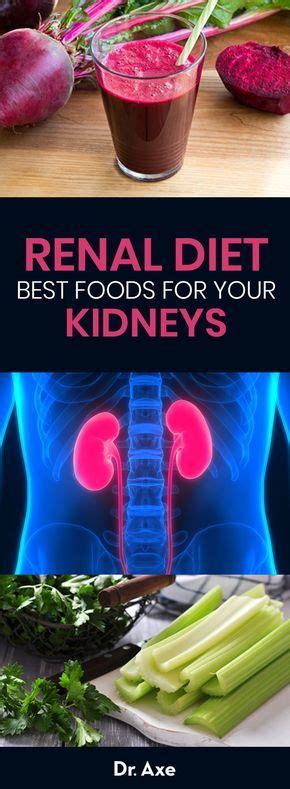 The kidneys regulate water and salts, remove certain wastes and make various hormones. Renal Diet Foods List and Eating Plan for Kidney Disease ...