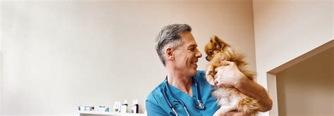 Companion Pet Care Services Veterinarian Located In Fort Myers