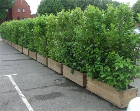 Beautiful Yet Functional Privacy Fence Planter Boxes Ideas 13 Screen