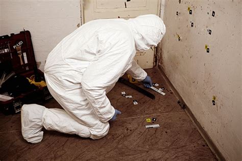 How Much Do Crime Scene Cleaners Get Paid Legal Inquirer