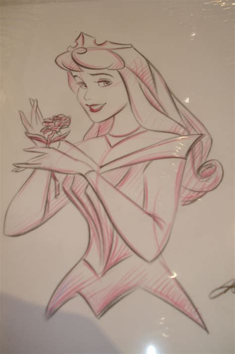 Disney Princess Drawings Disney Princess Photo 21907052 Fanpop
