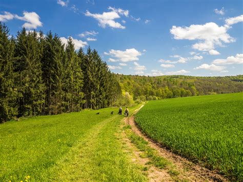 Free Images Landscape Nature Forest Sky Hiking Trail Field