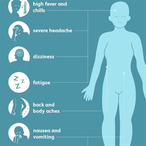 yellow fever signs symptoms and complications