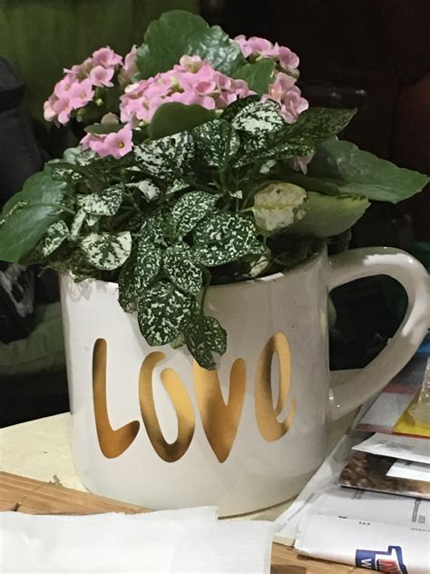Best valentine flowers near me. My boyfriend got me these flowers for Valentine's Day ...
