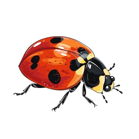 Premium Vector Hand Drawn Flat Color Ladybug Illustration