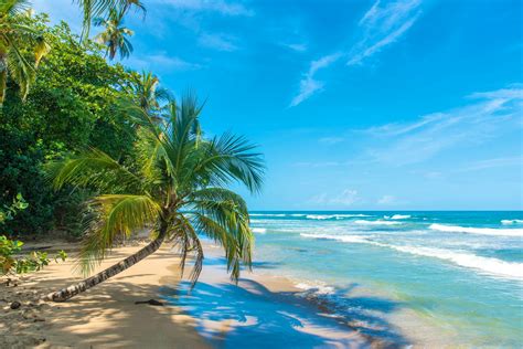 Costa Rica 3 Days Of Beach Ecotourism Adventure