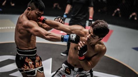 How To Combat A Boxer In Mma Evolve Vacation