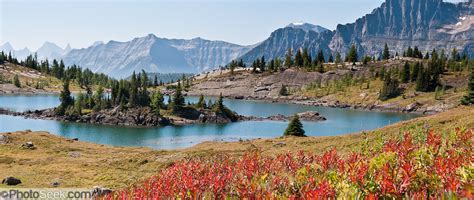 Rock Isle Lake Mount Assiniboine Provincial Park British Columbia