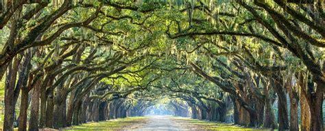 Over 100 top airlines to 1500+ destinations. 7 of the Most Beautiful Parks and Squares in Savannah, GA ...