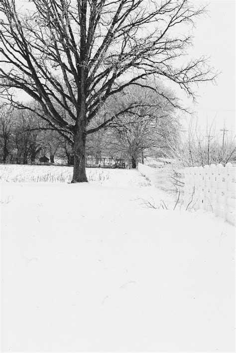 Winter Warmth Photograph By Lisa Hartsell Fine Art America