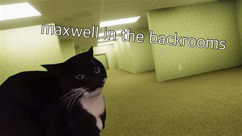 Maxwell In The Backrooms Youtube