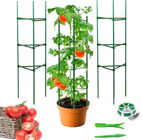 Tomato Plant Cage Support For Vegetable Fruit 3 Pack Climbing Plant