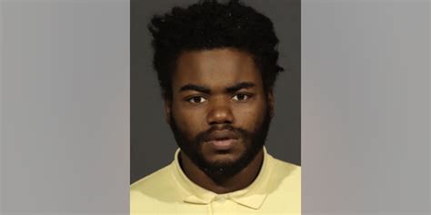 Nyc Homeless Man Arrested In Joggers Sexual Assault Is Alleged Serial Rapist With 25 Priors