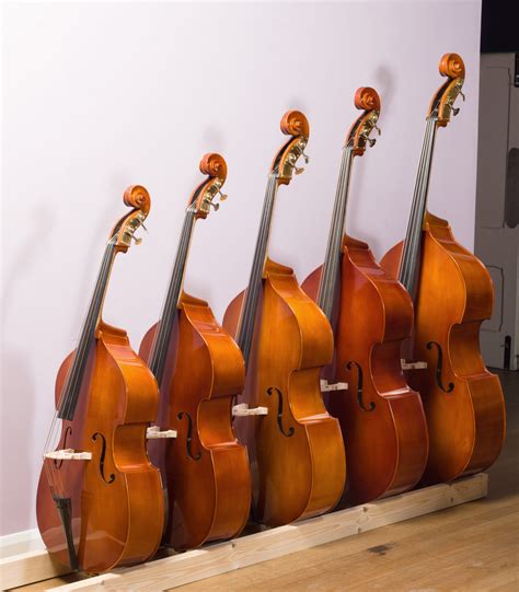 Double Bass Hire and Rental, Student and Professional - Bass Bags