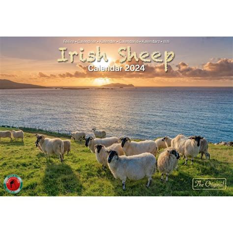 A4 Irish Sheep 2021 Calendar By Liam Blake