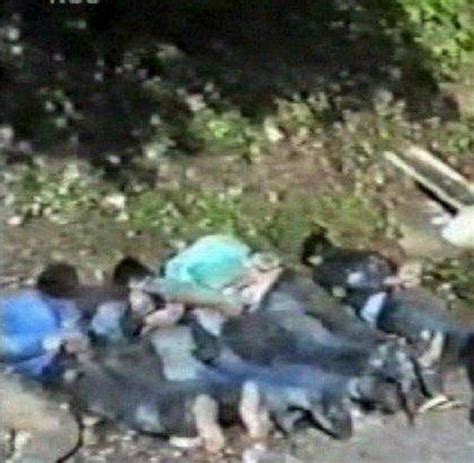 From the bbc documentary death of yugoslaviafollowing the fall of the srebrenica enclave in july 1995, the serb forces massacred approximately 8,000. Massaker von Srebrenica 1995: Wie viel Schuld trifft die ...