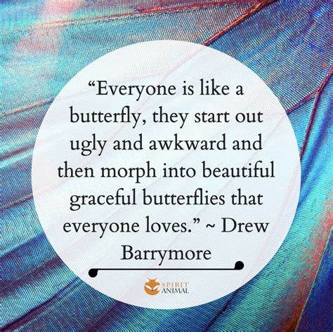 Butterfly Quotes Spirit Animal Info Butterfly Quotes Butterfly