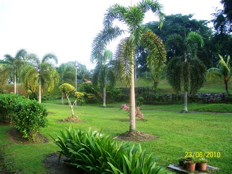 Bandar tenggara is a town in kota tinggi district, johor, malaysia. SMK BANDAR TENGGARA: AWAL PAGI DI SMK BANDAR TENGGARA