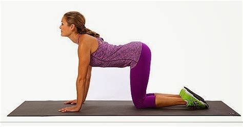 Redhead woman stretching spine practicing cat cow pose and doing bird dog balance or donkey kick posture, kneeling opposite arm and leg extension. Health Sculptures: Relief for back pain - Cat cow stretch