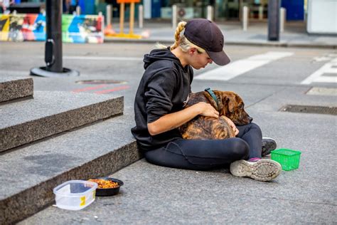 The Truth About Homeless And Their Pets You Need To Know Fred Victor
