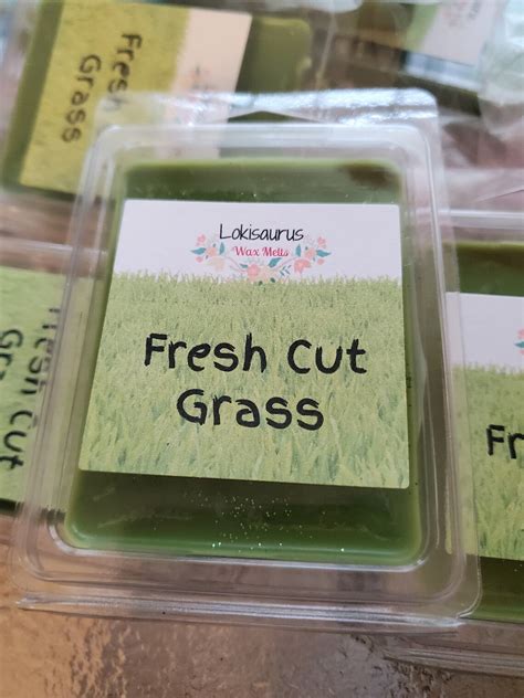 Fresh Cut Grass Soy Wax Melts Etsy