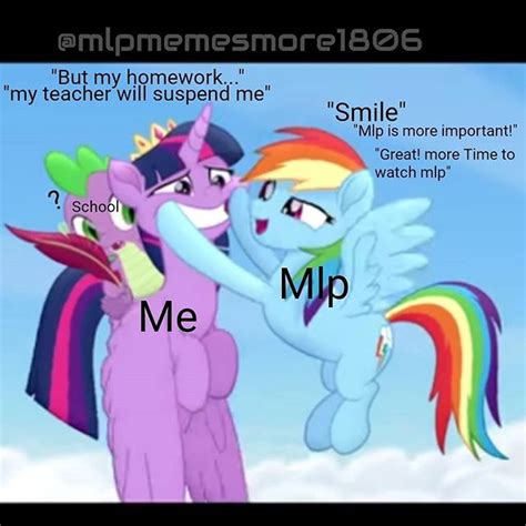 Pin By Animus Daze On Mlp In 2020 Mlp Memes Brony Mlp