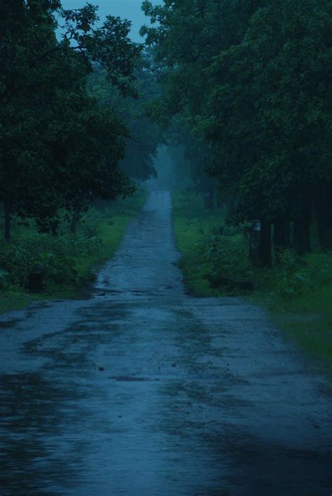 Tadoba Rains By Rajpal Navalkar 500px Rainy Day Aesthetic Night